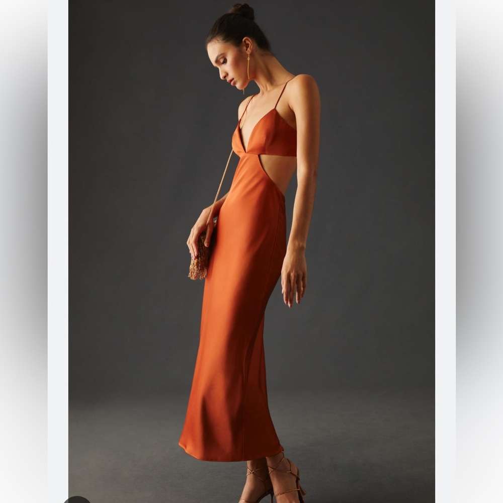 NWT (12) Anthropologie significant other clay Jacy dress